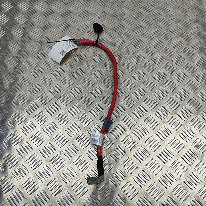 BMW 2 F22 F23 (2013 - 2017) 9253111 Плюсовой провод аккумулятора — фото 4