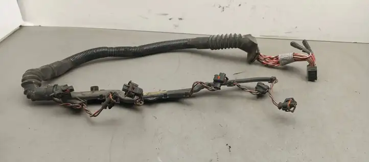 BMW 5 E39 (1996 - 2003) 224941802 Проводка топливных форсунок — фото 1
