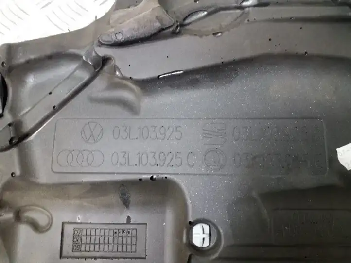 Volkswagen Tiguan (2007 - 2011) 03L103925 Крышка двигателя декоративная — фото 7