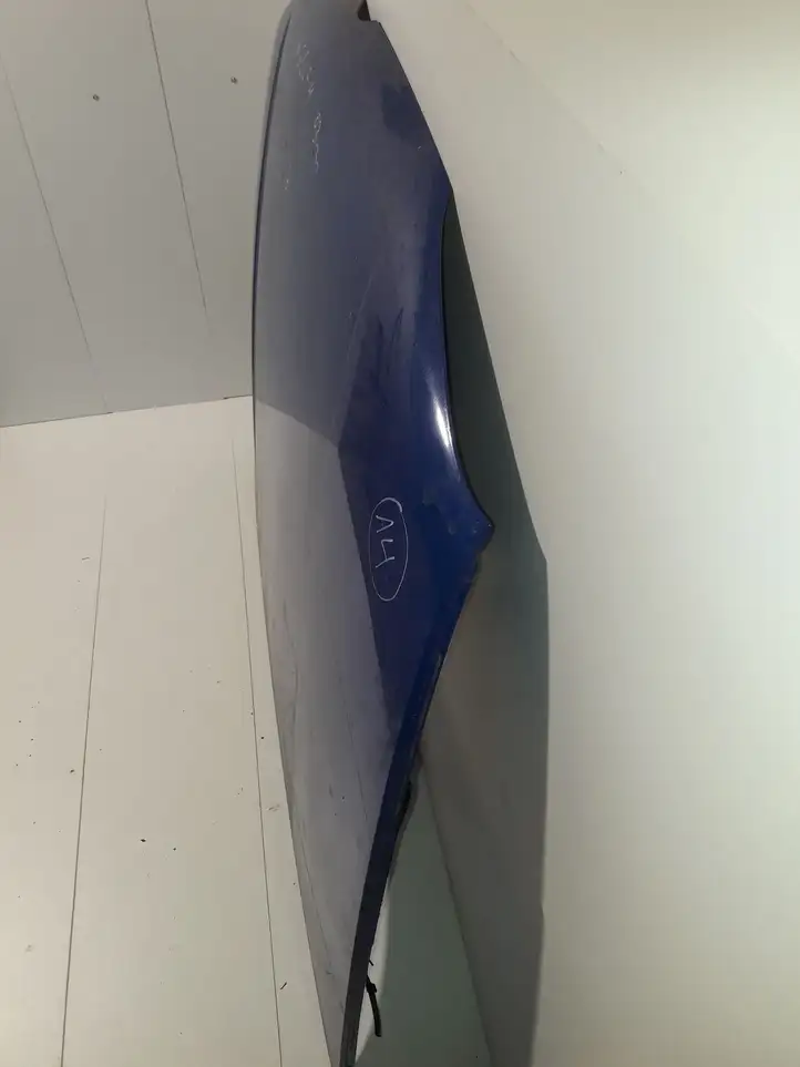 Volkswagen Golf IV (1998 - 2005)   Капот