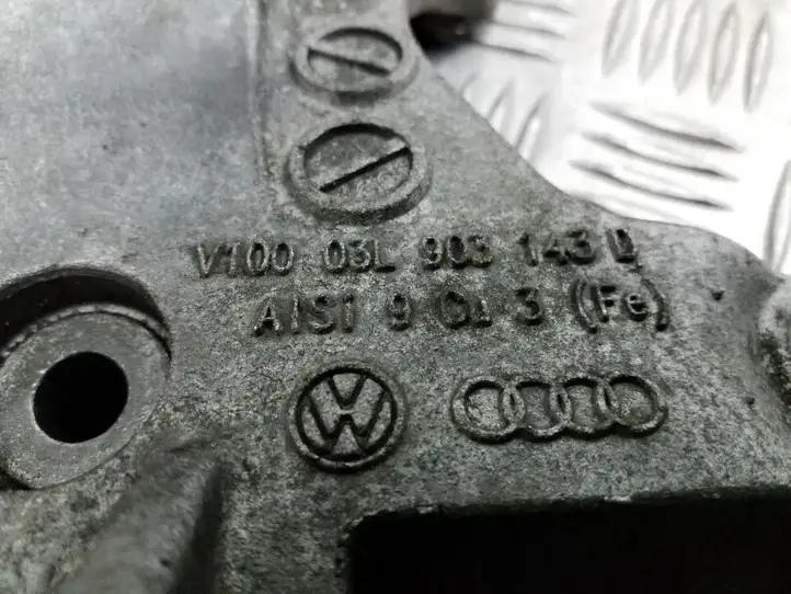 Volkswagen Tiguan (2007 - 2011) 03L903143D Кронштейн генератора — фото 4