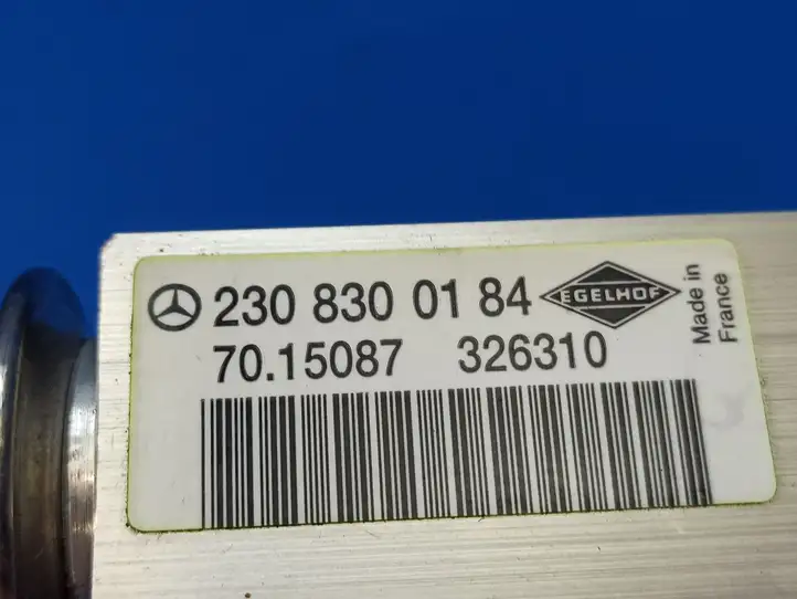 Mercedes-Benz E C207 W207 (2009 - 2017) 2308300184 Расширительный клапан кондиционера — фото 6