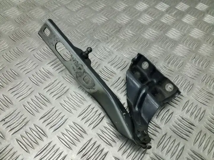 Audi Q5 SQ5 (2008 - 2012) 8R0823302A Петли капота — фото 1