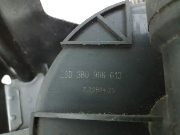Volkswagen PASSAT B5.5 (2001 - 2005) 3B0906613 Насос вторичного воздуха — фото 6