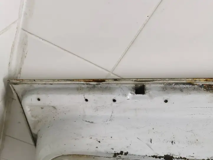 Fiat Scudo (2007 - 2016) Дверь — фото 18