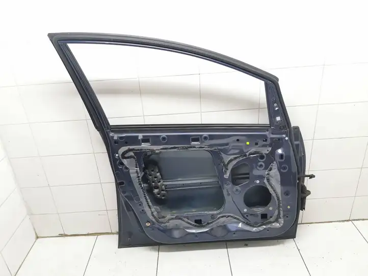 Mitsubishi Grandis (2003 - 2012) Дверь — фото 2