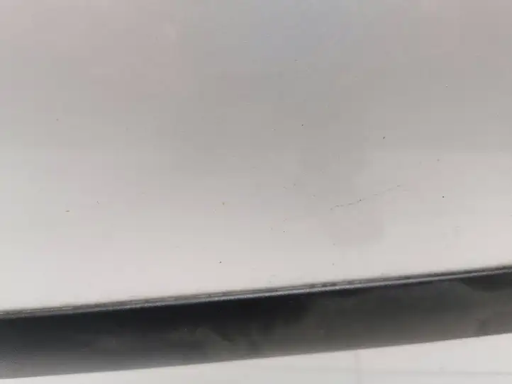 Volkswagen Golf V (2003 - 2009) Дверь — фото 12