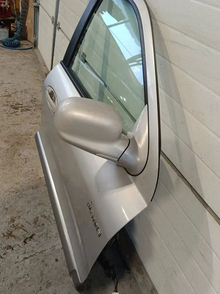 Hyundai Santa Fe (2000 - 2005) Дверь — фото 2