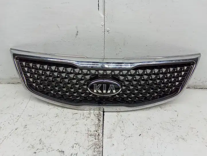 Kia Sportage (2014 - 2016) Передняя решетка — фото 1