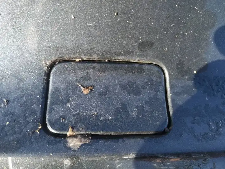 Peugeot 607 (2000 - 2004) Заглушка буксировочной петли бампера — фото 1
