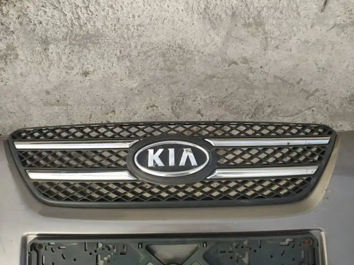Kia Ceed (2006 - 2010) Передняя решетка — фото 1