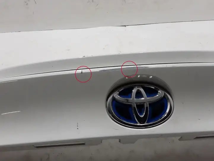 Toyota C-HR I (2016 - 2022) 76811F4010 Подсветка номера — фото 3
