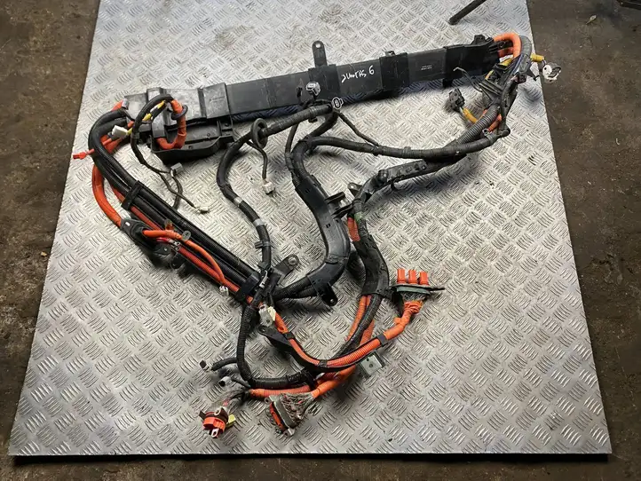 Lexus RX 450H (2008 - 2012) 82817-48F40 Прочая электропроводка — фото 1