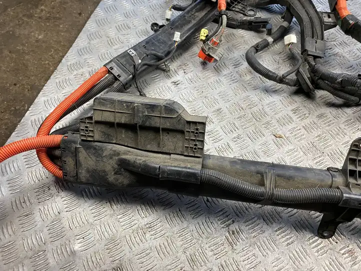 Lexus RX 450H (2008 - 2012) 82817-48F40 Прочая электропроводка — фото 9