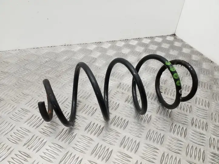 Skoda Rapid (NH) (2012 - 2019) Пружина подвески — фото 1