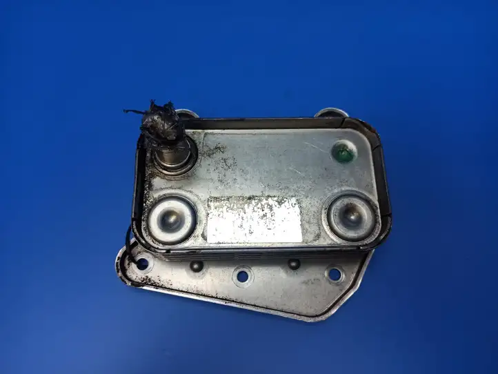 Mercedes-Benz C W203 (2000 - 2007) A6131880201 Кронштейн масляного фильтра — фото 1