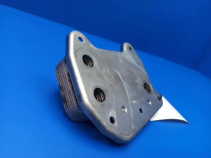 Mercedes-Benz C W203 (2000 - 2007) A6131880201 Кронштейн масляного фильтра — фото 3