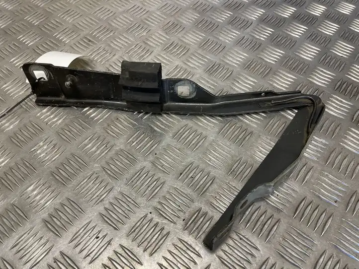 Jeep Grand Cherokee (1998 - 2004)  55256196ABA Петля (петли) капота