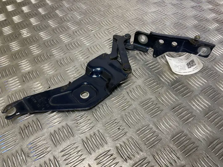 BMW X5 E70 (2006 - 2013) 720862701 Петли капота — фото 1