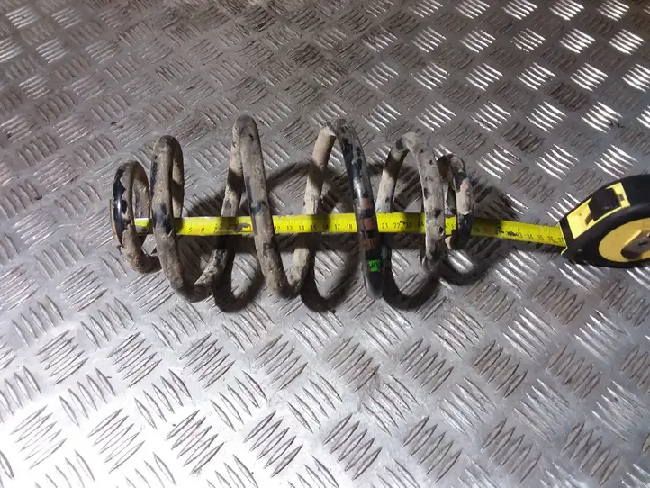 Volkswagen PASSAT B5.5 (2001 - 2005)   Пружина