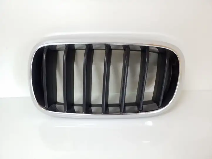 BMW X5 F15 (2013 - 2017) 7294485AI10 Верхняя решетка радиатора — фото 1