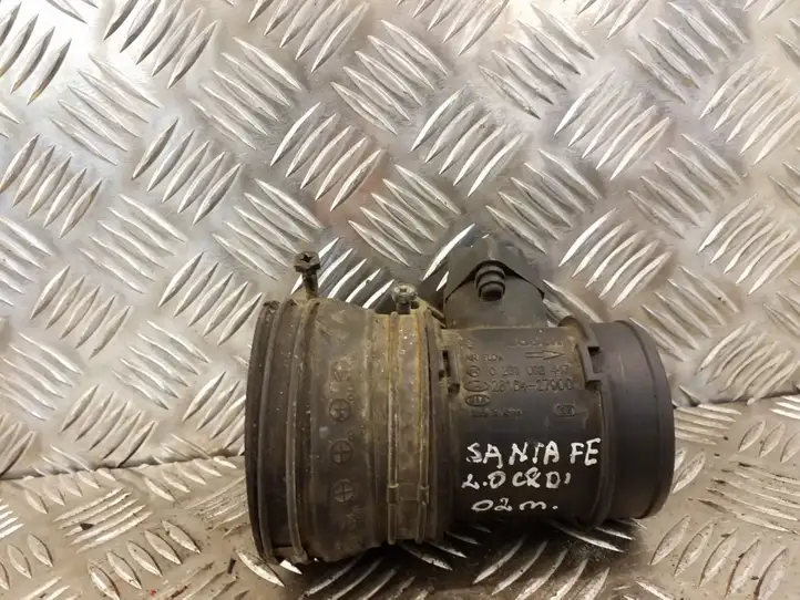 Hyundai Santa Fe (2000 - 2005) 0281002447 Датчик массового расхода воздуха — фото 1
