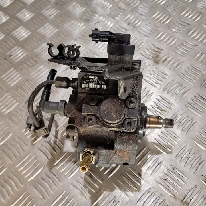 Citroen C4 I Picasso (2006 - 2013) 0445010102 Топливный насос — фото 1