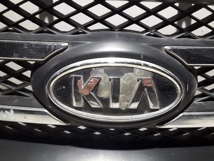 Kia Carnival (2002 - 2006) Верхняя решетка радиатора — фото 3