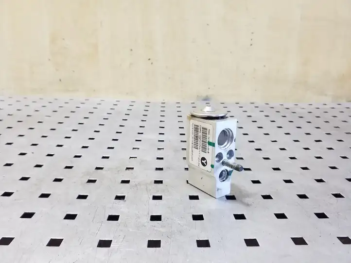 Tesla Model S   101954100B Клапан расширительный