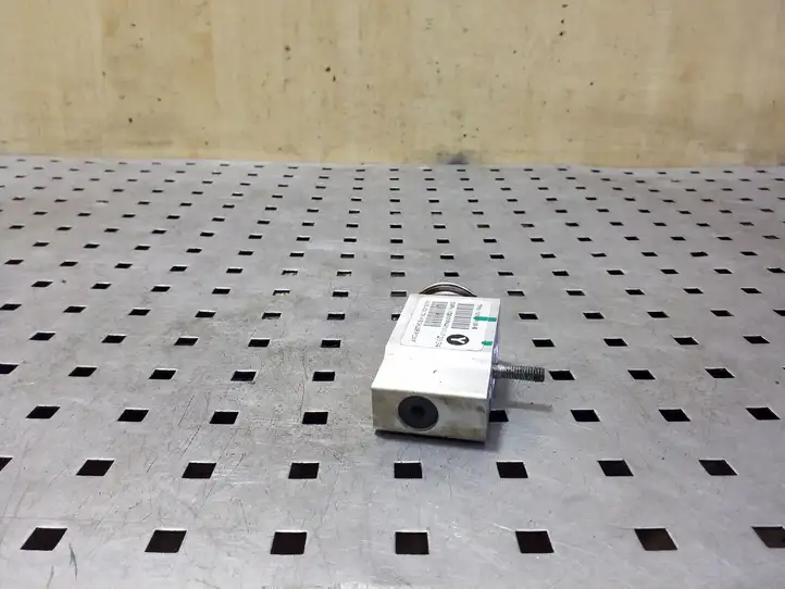 Tesla Model S   101954100B Клапан расширительный