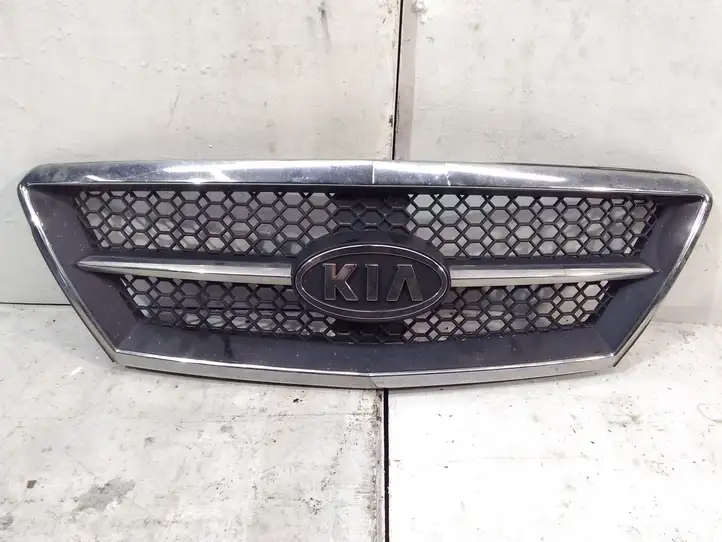 Kia Sorento (2002 - 2006) Верхняя решетка радиатора — фото 1
