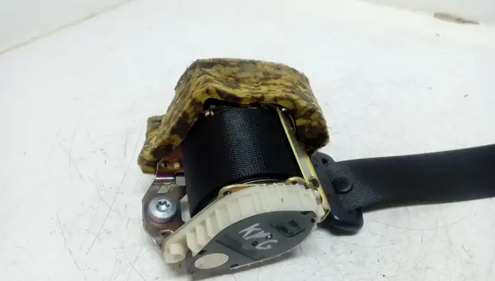Mercedes-Benz C W203 (2000 - 2007) A2038608785 Задний ремень безопасности — фото 2