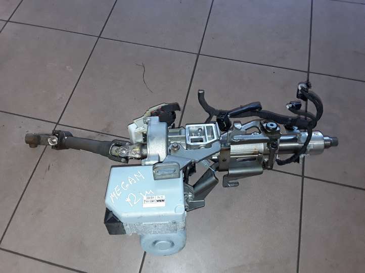 Renault Megane III (2009 - 2016)  EAWCEC059J Насос рулевого управления