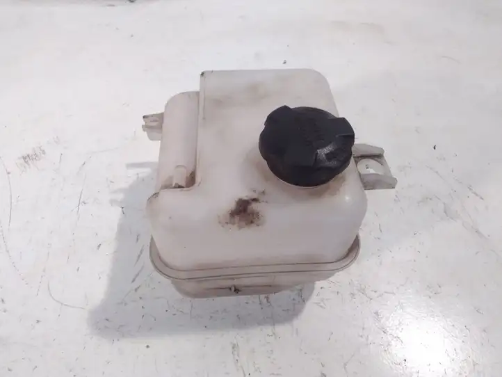 (2011 - 2016) 254302S000 Расширительный бачок — фото 5