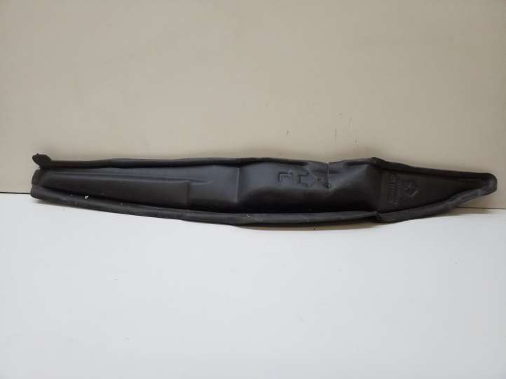 Chrysler Pacifica (2016 - )  68225663A Пенопласт крыла