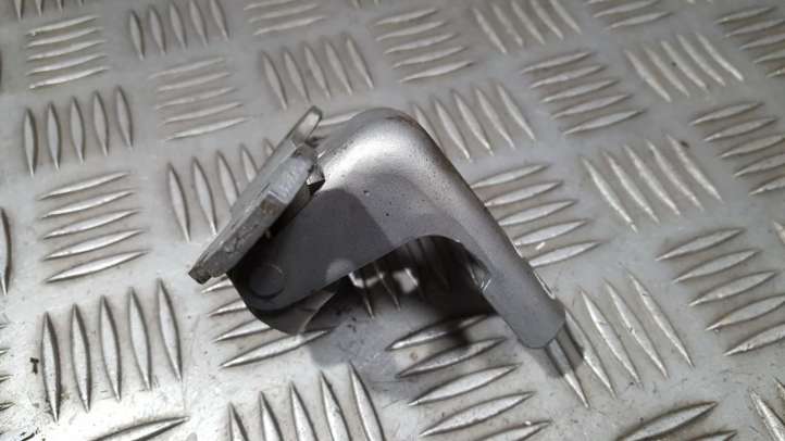 Renault Megane III (2009 - 2016)  804000016PF Нижняя петля задней двери