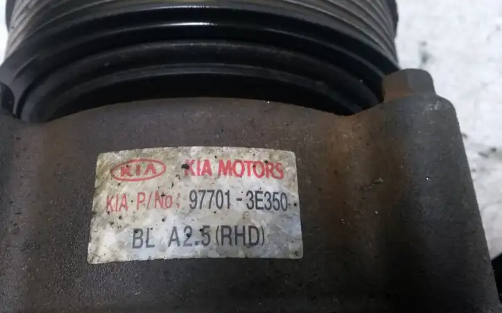 Kia Sorento (2002 - 2006) 977013E350 Компрессор (насос) кондиционера воздуха — фото 4