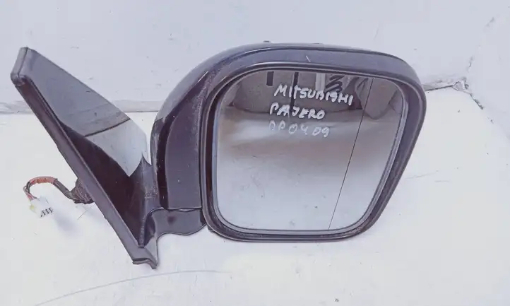 Mitsubishi Pajero (1999 - 2003) Боковое зеркало с электроприводом — фото 1