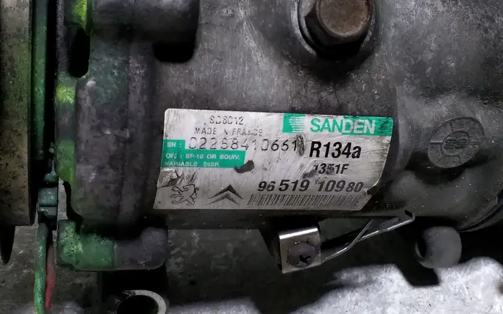 Peugeot 207 (2006 - 2009) 02288410661 Компрессор (насос) кондиционера воздуха — фото 4