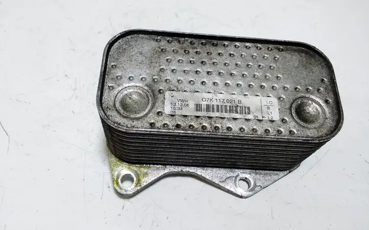 Volkswagen Jetta V (2005 - 2010) 07K117021B Кронштейн масляного фильтра — фото 1