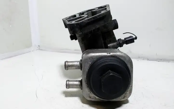 Volkswagen Sharan (2003 - 2010) 038115389C Кронштейн масляного фильтра — фото 2