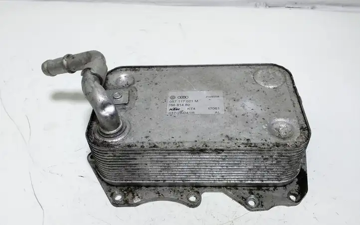 Audi A8 S8 D3 4E (2007 - 2010) 057117021M Кронштейн масляного фильтра — фото 3