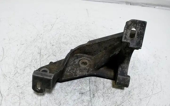 Renault Scenic I (1996 - 2003) 7700115681 Кронштейн топливного насоса — фото 1