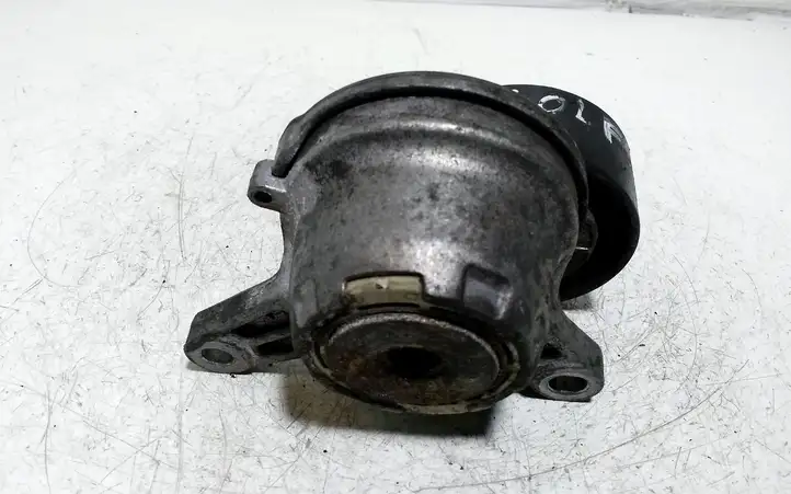 Volkswagen Golf VII (2013 - 2019) 04L903315 Натяжитель ремня генератора — фото 3