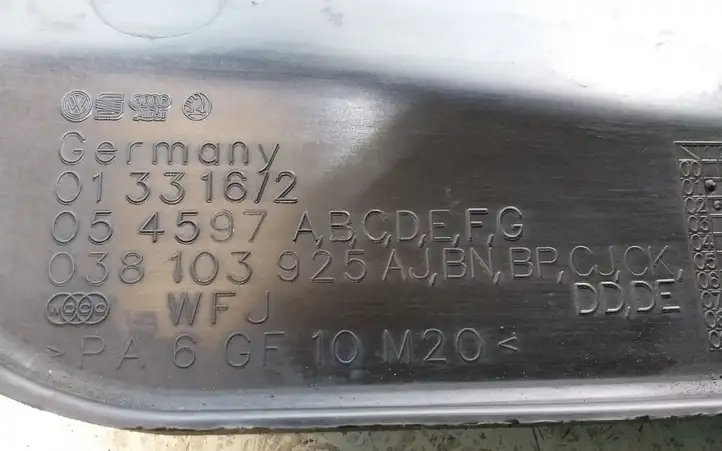 Volkswagen Golf IV (1998 - 2005) 038103925AJ Крышка двигателя декоративная — фото 4