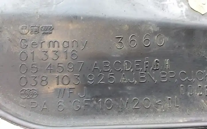 Volkswagen Golf IV (1998 - 2005) 038103925AJ Крышка двигателя декоративная — фото 3