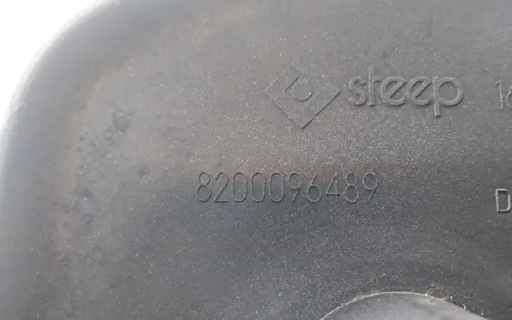 Renault Vel Satis (2002 - 2005) 8200096489 Крышка двигателя декоративная — фото 3