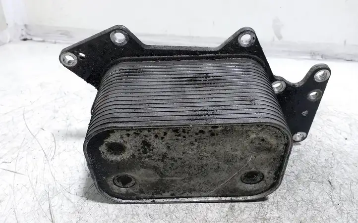 Audi A6 S6 C6 4F (2004 - 2008) 059117021H Кронштейн масляного фильтра — фото 4
