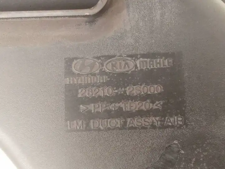 Hyundai ix35 (2009 - 2013) 282102S000 Детали воздухозаборника — фото 4