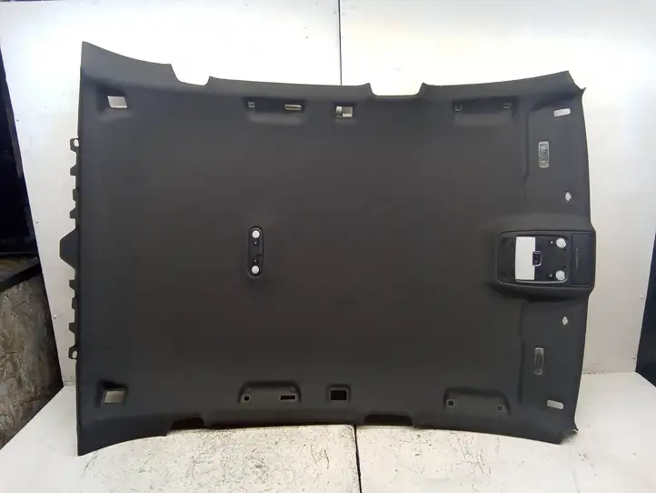 Audi Q5 SQ5 (2008 - 2012) 8R0867501M Комплект потолочной обшивки — фото 1